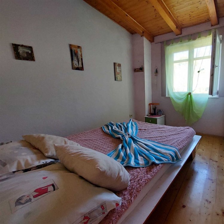 Vesna MU no.2 žuti