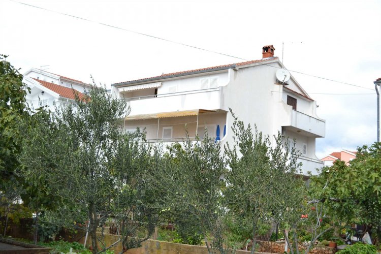 Celic A6+2 (1007-CVG)