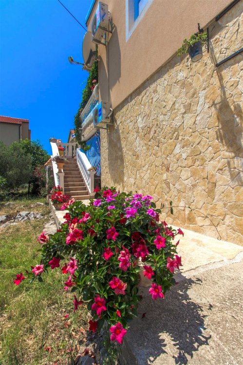 Nevo A4+2 no.2 (1009-MVF)