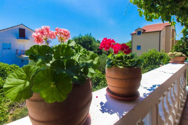 Nevo A4+2 no.2 (1009-MVF)