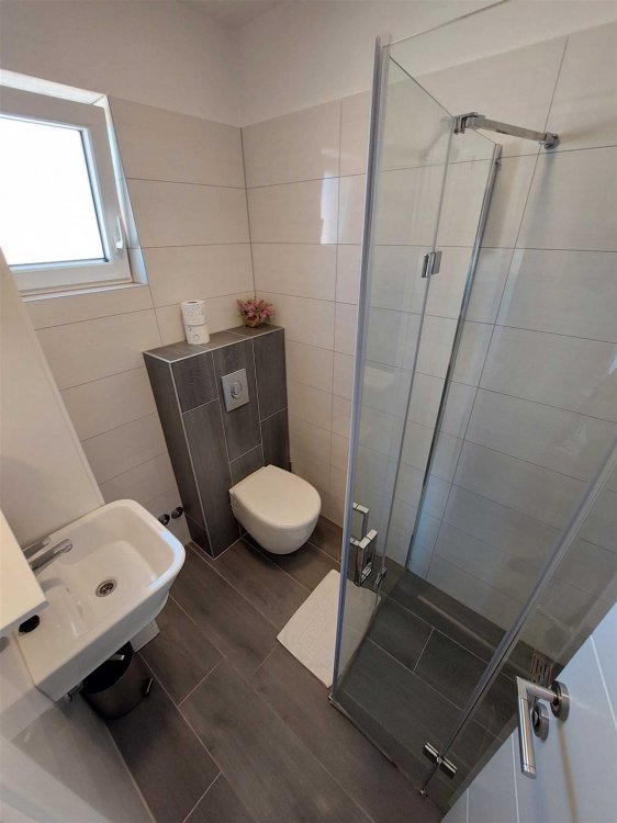 Daniel Studio no.4 (1012-DVS)