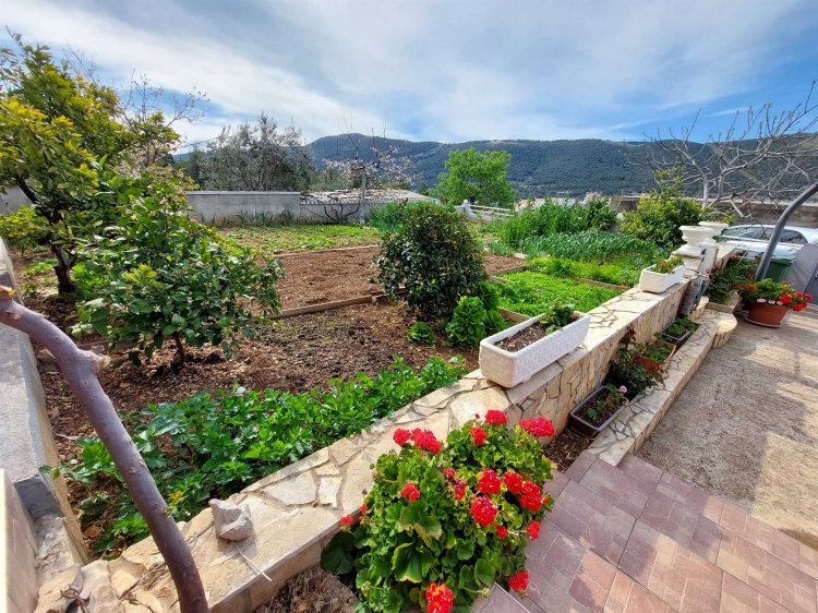 Apartment Bana A6 (5000-BGA-A1)