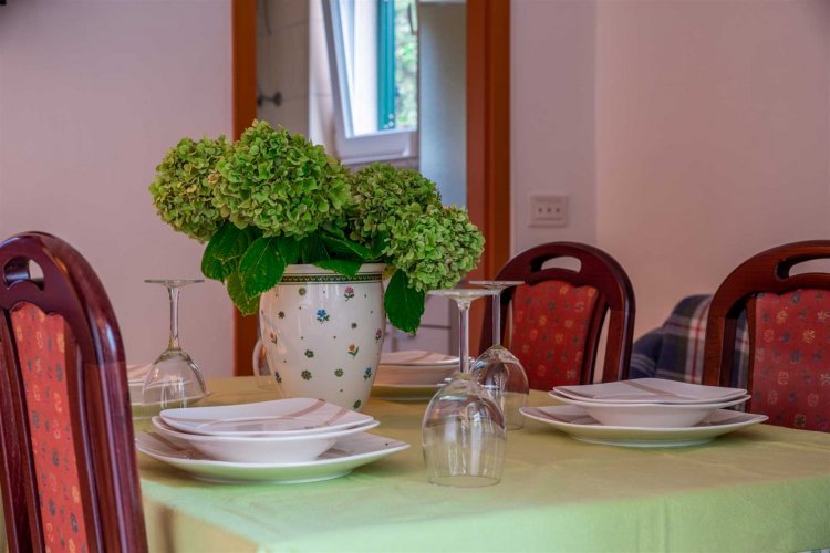 Zdena A4+1 no.2 (4003-ZMP-A2)