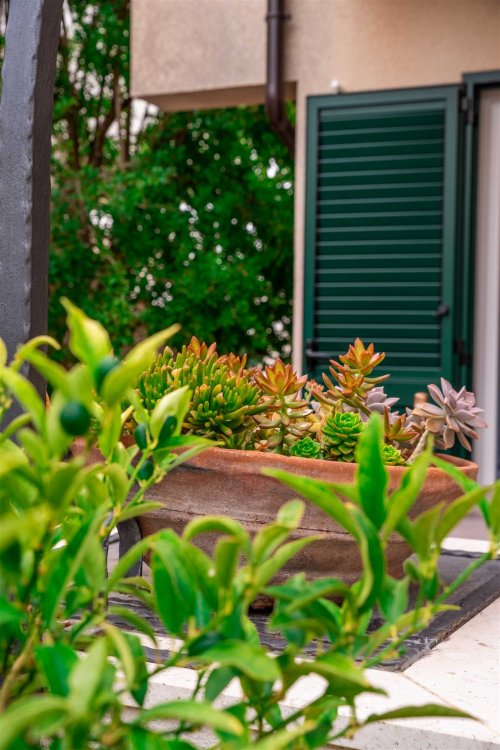 Zdena A4+1 no.2 (4003-ZMP-A2)