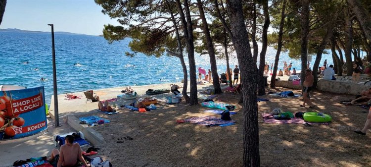 Apartment Pave (1042-RVP-01)