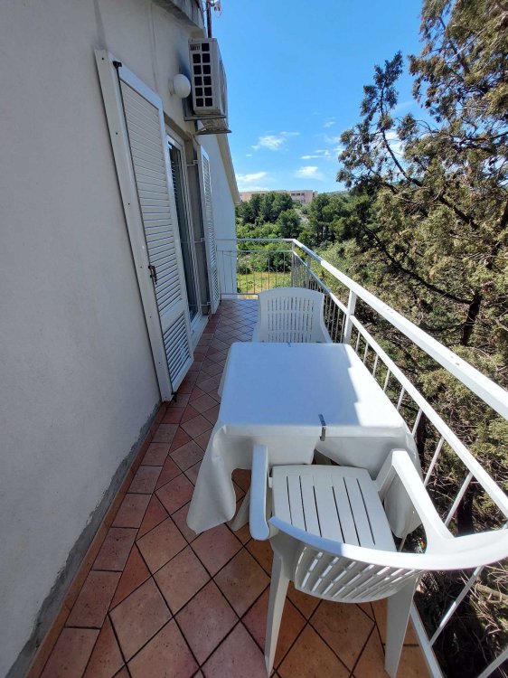 Apartment Vesna Primošten A2+1