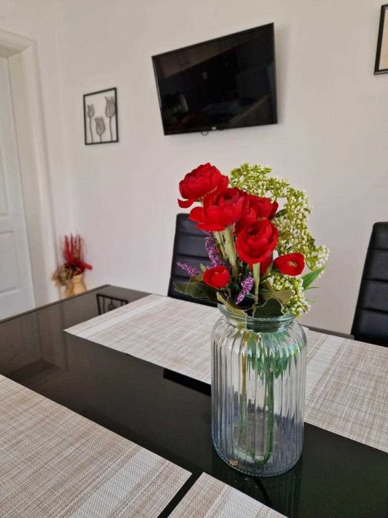 (4) Apartment Babun - A3 + 1