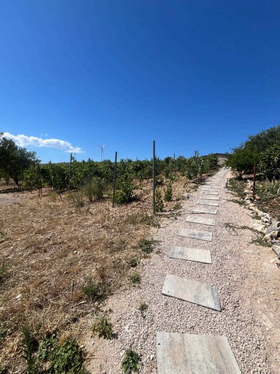 Pool House Kreso - Danilo