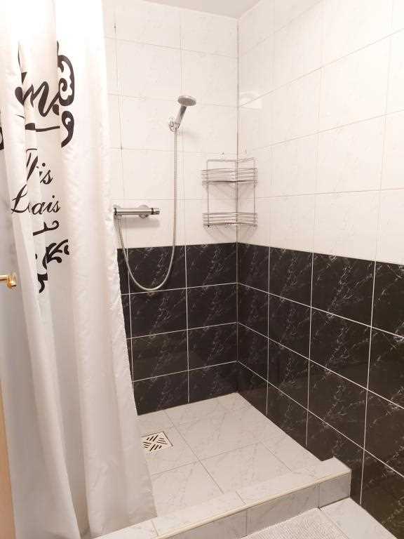 Apartman Sabunike A2+2 studio