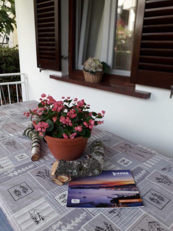 Apartment Garden House A4+2