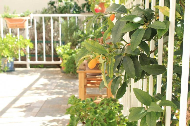 Apartment Garden House A4+2