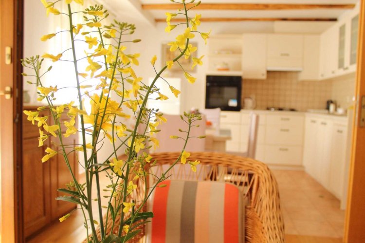 Apartment Garden House A4+2